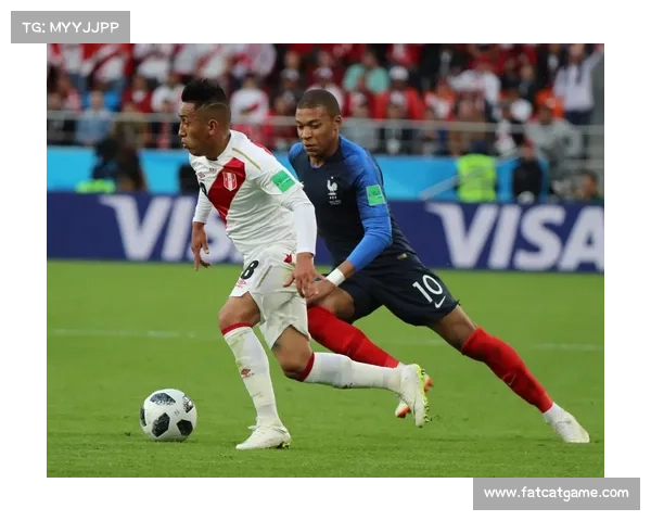 法国秘鲁世界杯